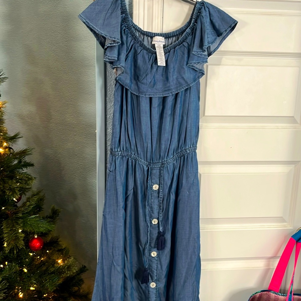 Tmmy Bahama tencel chambray dress Xs